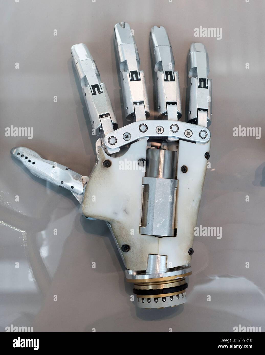 hand, mechanical, medical, prosthesis, hands, mechanicals, medicals Stock Photo Alamy