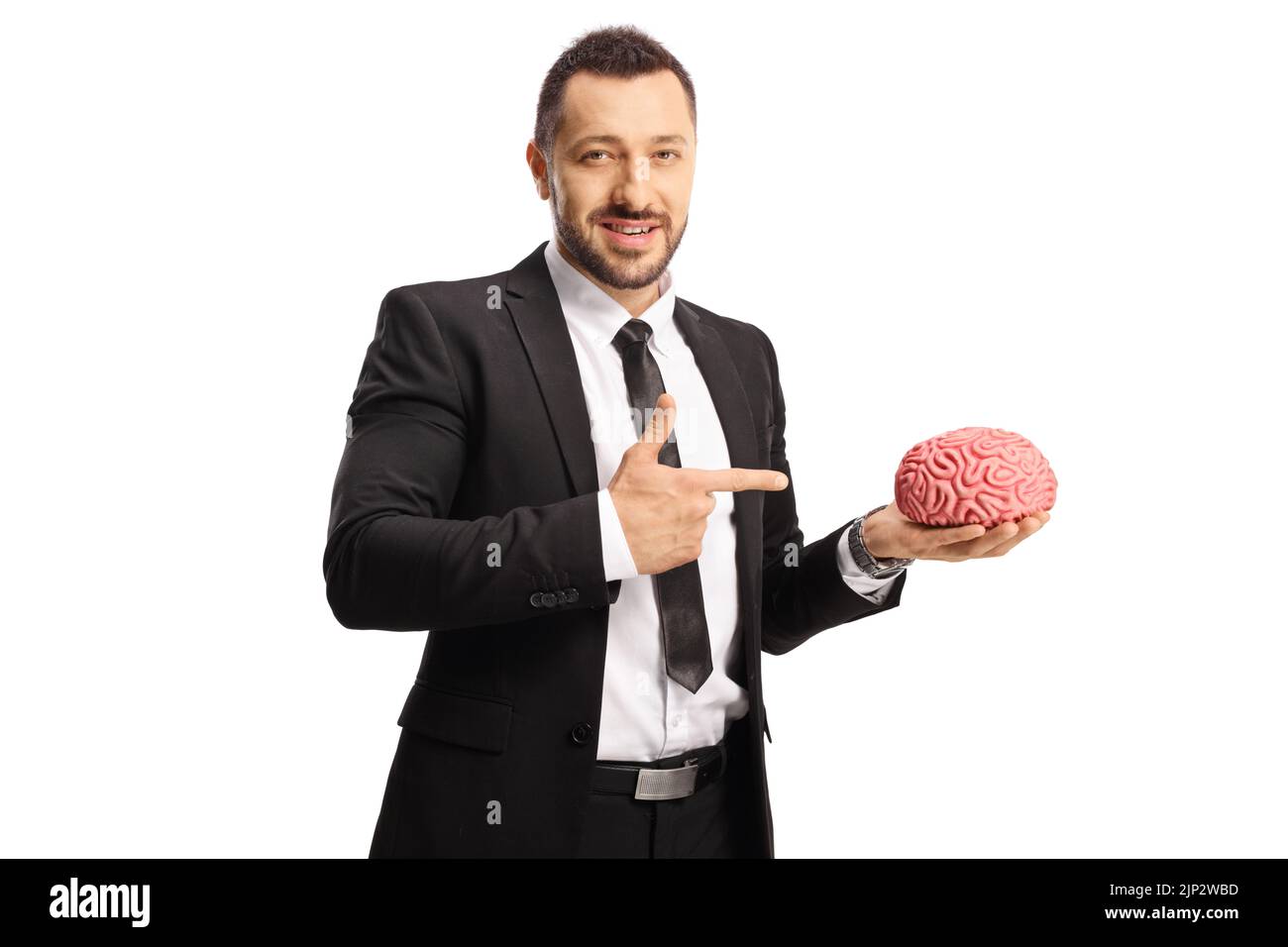 Businessman holding a model of human brain and pointing isolated on white background Stock Photo