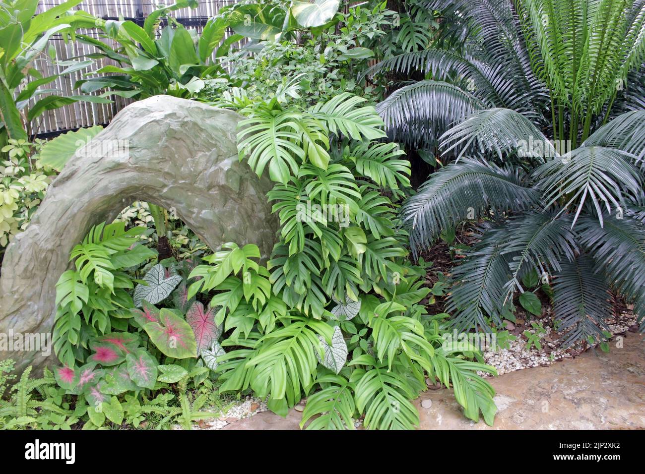 Large decorative stone arch garden feature among green tropical palm