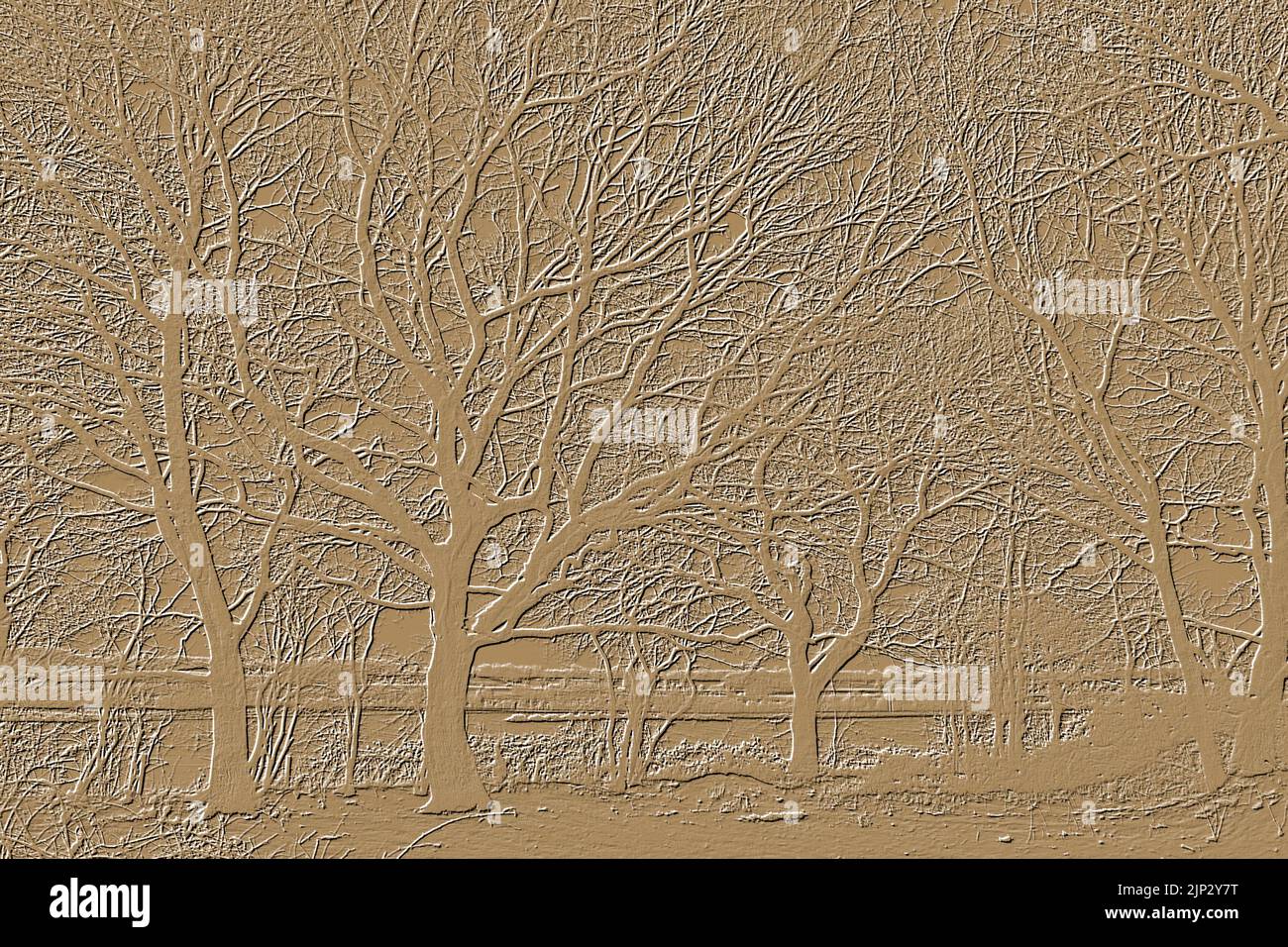 Embossed Landscape Embossed trees hi-res stock photography and images - Alamy