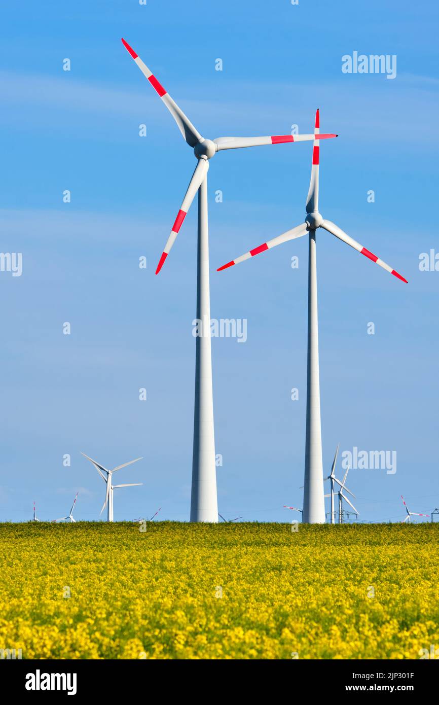 wind power, pinwheel, renewable energy, wind powers, pinwheels