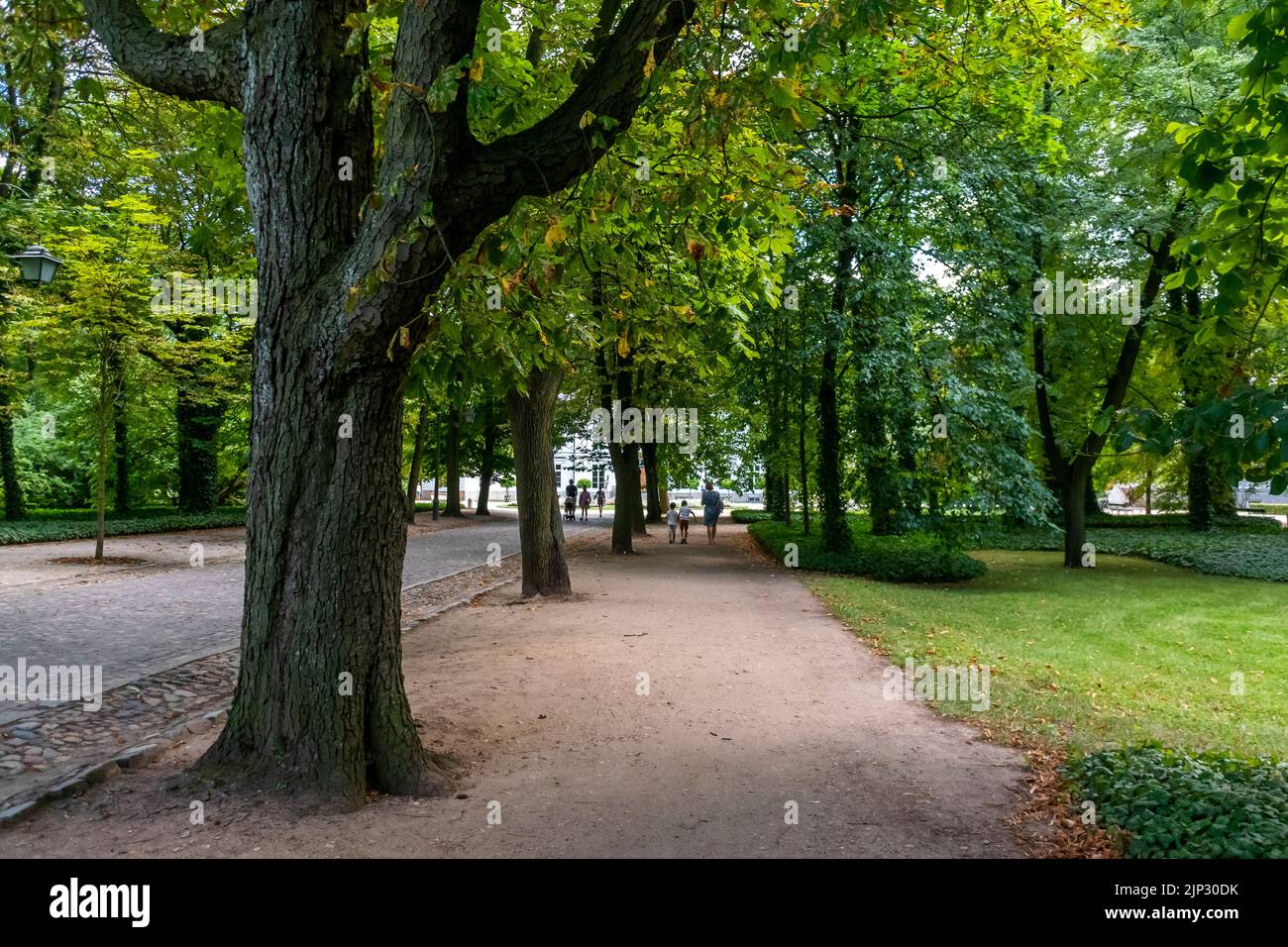 Warsaw, Poland, People Visiting in Publc Park, Lazienski Park, Landscapes Stock Photo