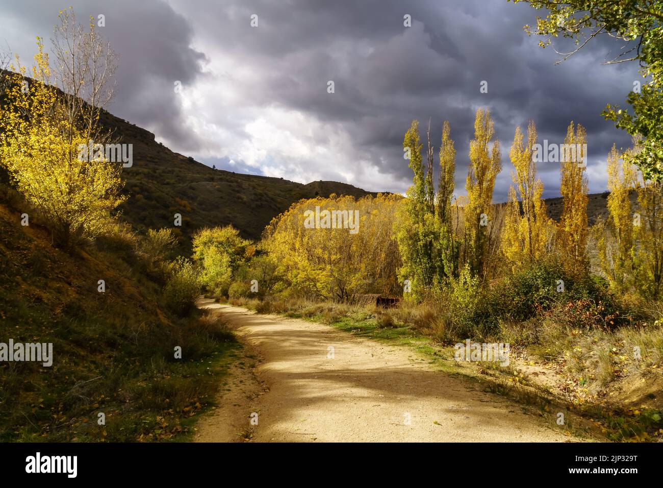 Dark storm clouds over forest hi-res stock photography and images - Alamy