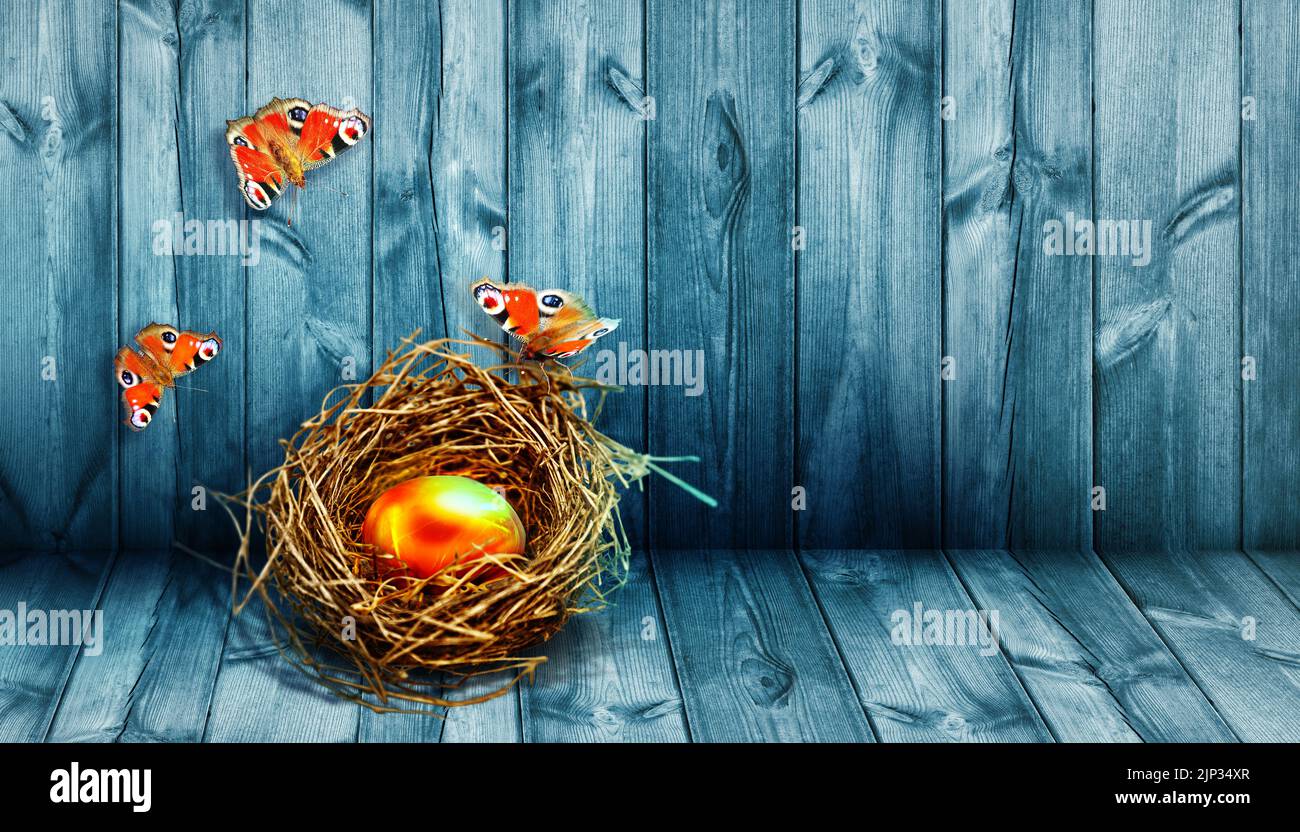 easter, easter egg, golden egg, easters, easter eggs, golden eggs Stock Photo