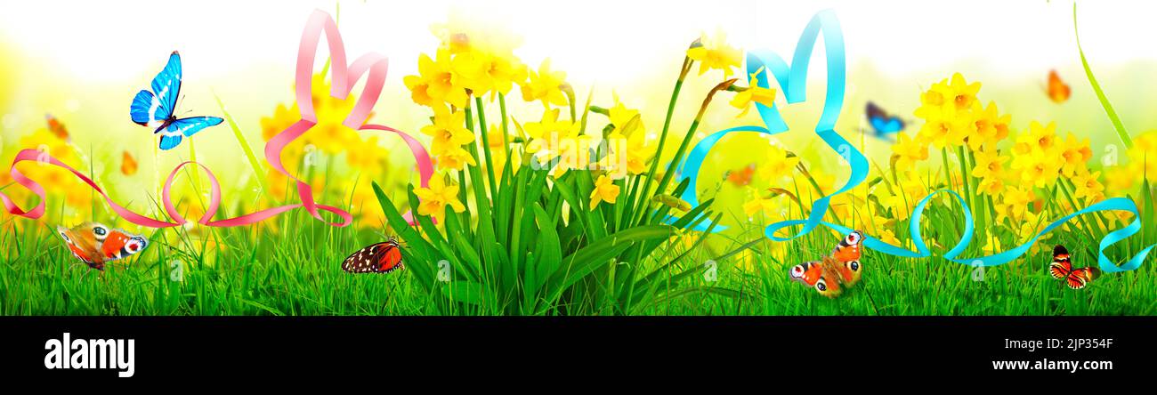 easter, flower meadow, easter bunny, easters, flower meadows, easter bunnies Stock Photo