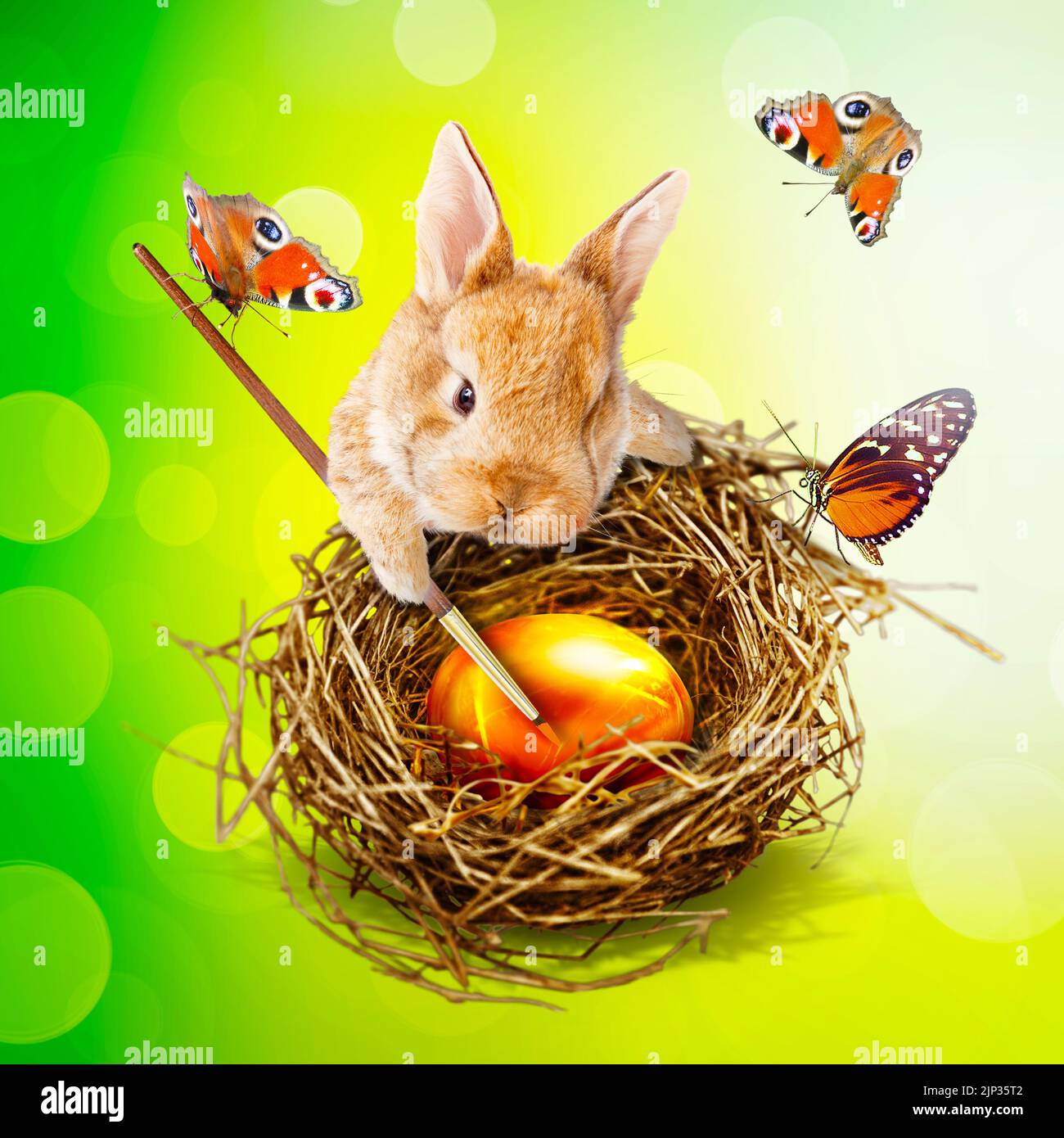 easter egg, easter nest, easter bunny, painting, easter eggs, easters, easter bunnies, drawing Stock Photo