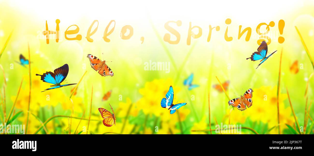 springtime, hello spring, hallo frühling Stock Photo