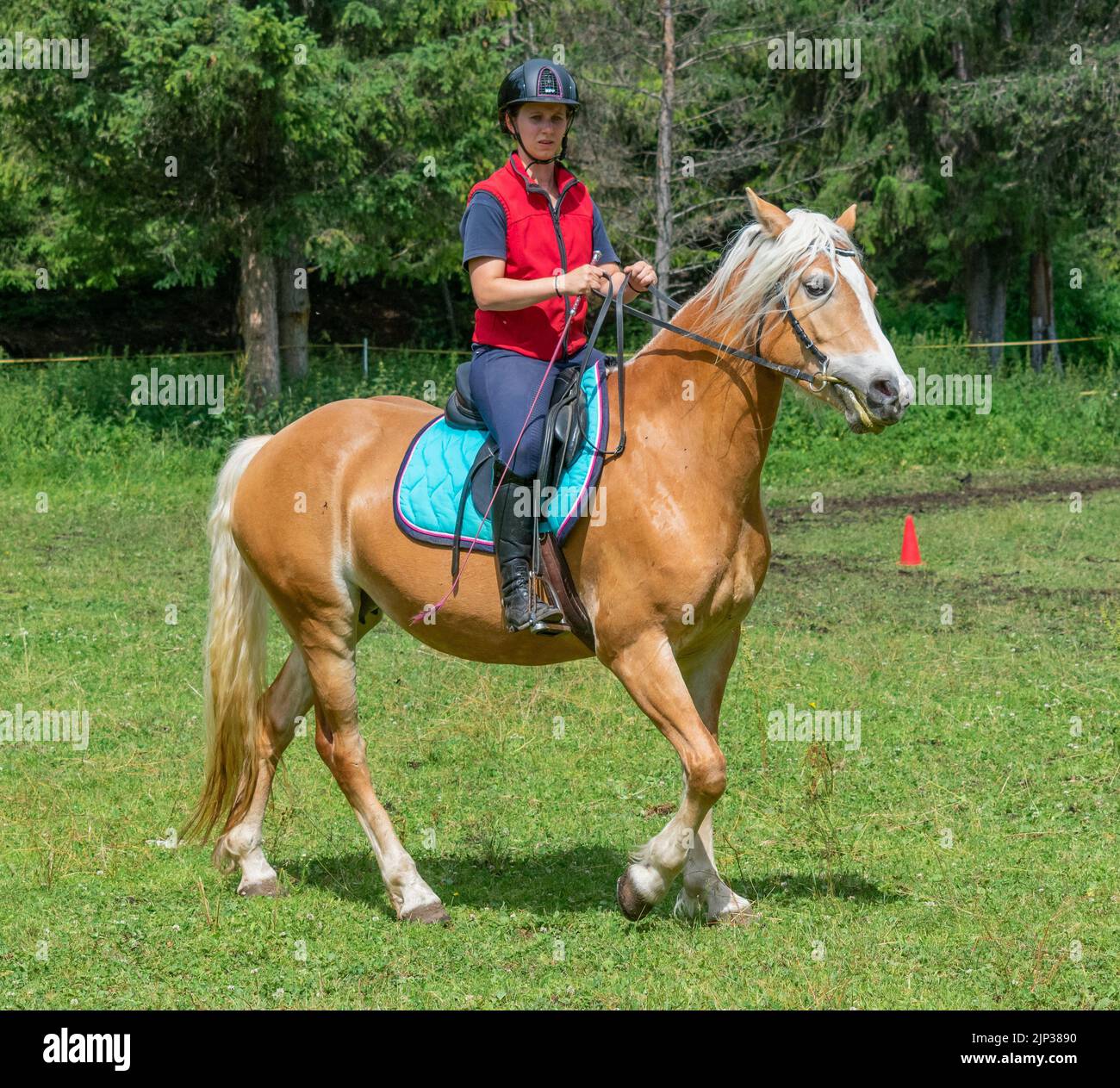 A female equestrian on the wonderful wild horse in Alta Val Badia