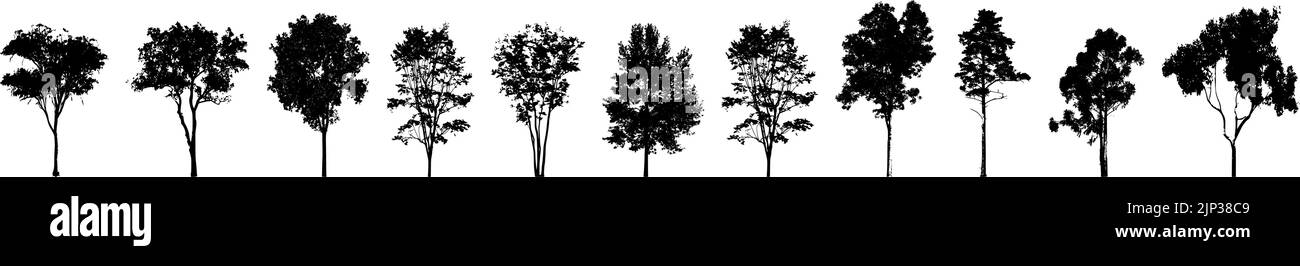 A vector illustration of pine tree silhouettes Stock Vector Image & Art ...