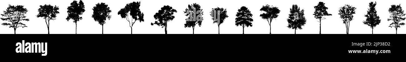 A vector illustration of pine tree silhouettes Stock Vector Image & Art ...