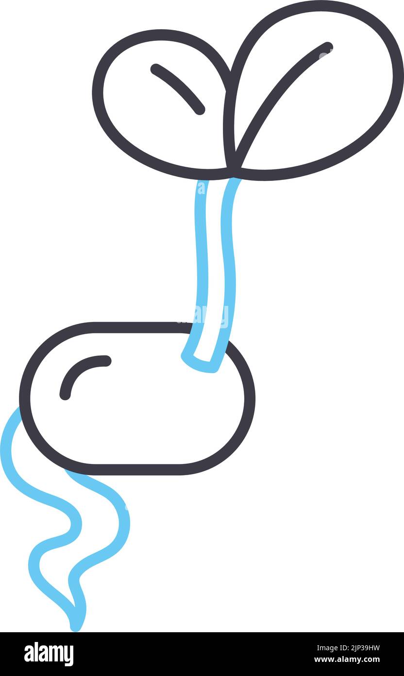 bean sprout line icon, outline symbol, vector illustration, concept