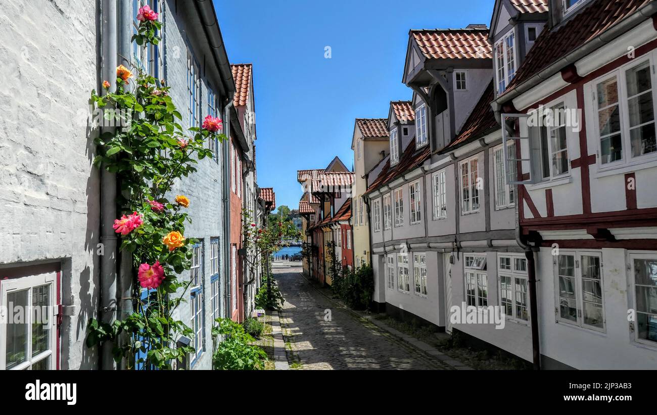 A beautiful view of the identical houses in OlufSamsonGang street in