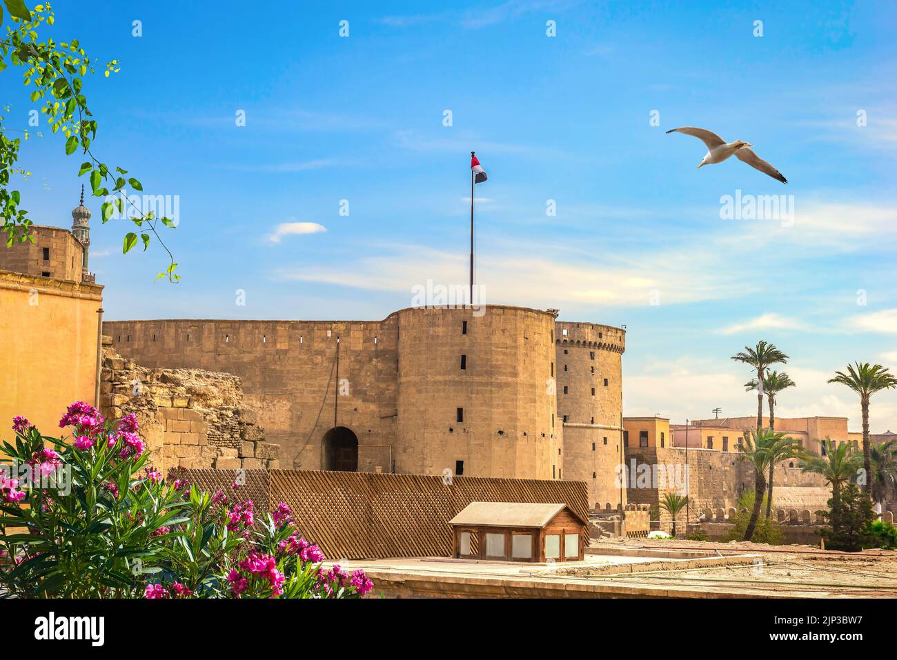 cairo zitadelle von saladin cairos Stock Photo Alamy