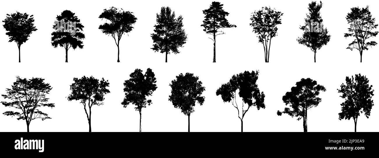 A vector illustration of pine tree silhouettes Stock Vector Image & Art ...
