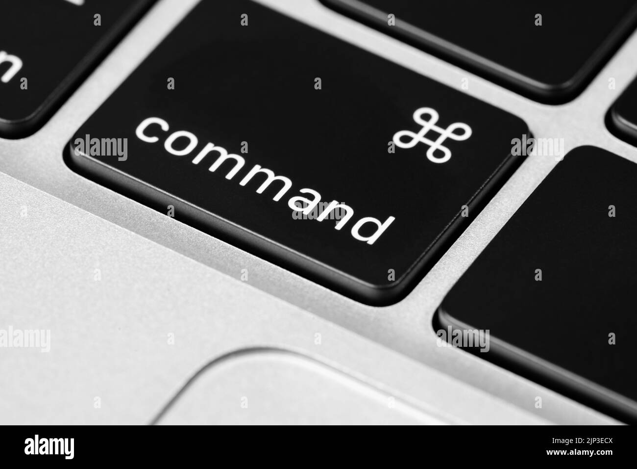 Close up image of a 