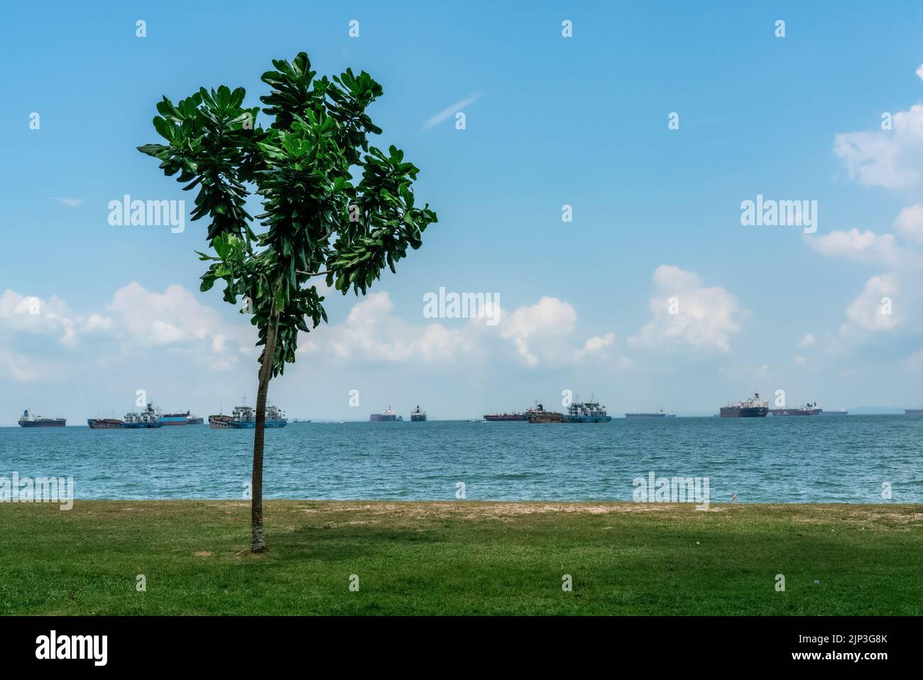 Morning by the beach overlooking the vessels at East Coast Park, Singapore. Copy Space. Stock Photo