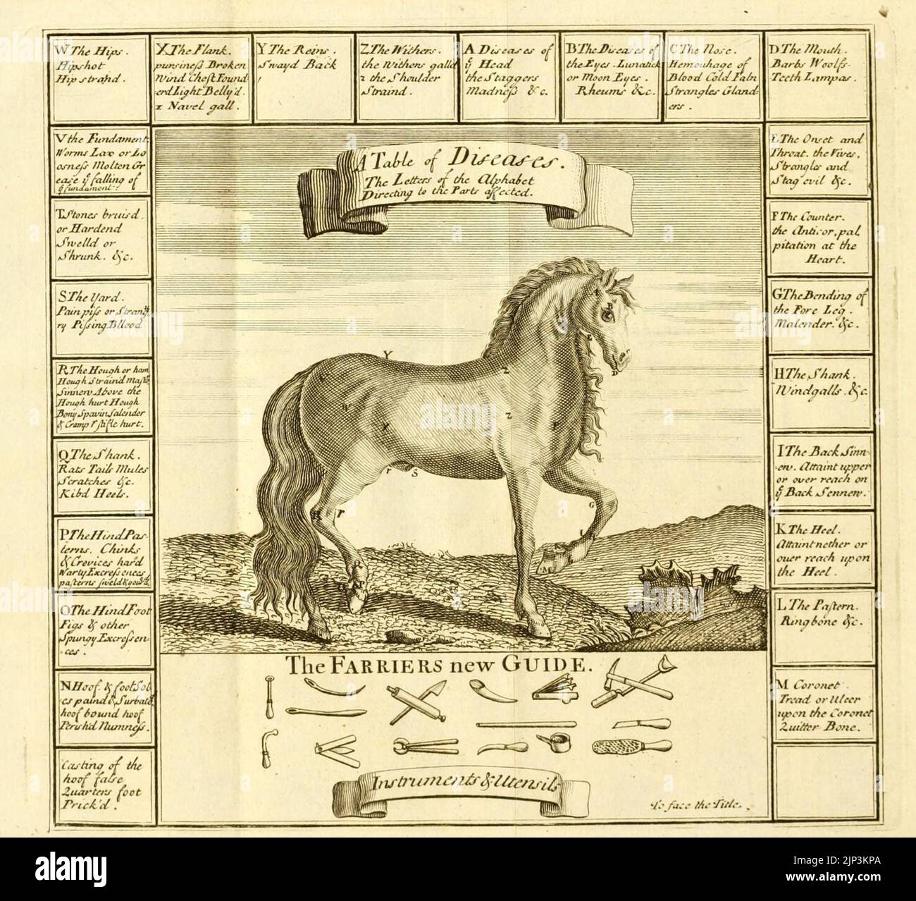 The farrier's new guide Stock Photo Alamy