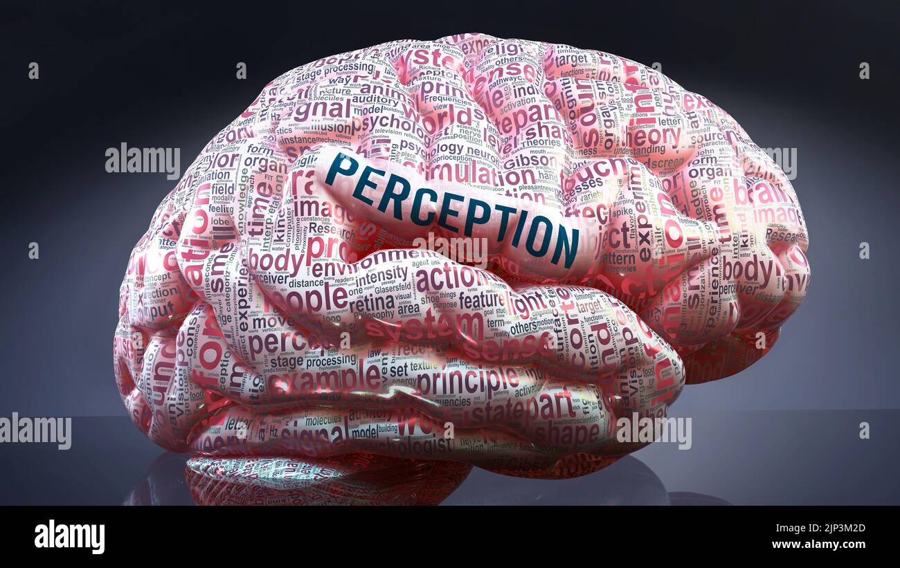 Perception in human brain, hundreds of crucial terms related to Perception projected onto a cortex to show broad extent of the condition and to explor Stock Photo
