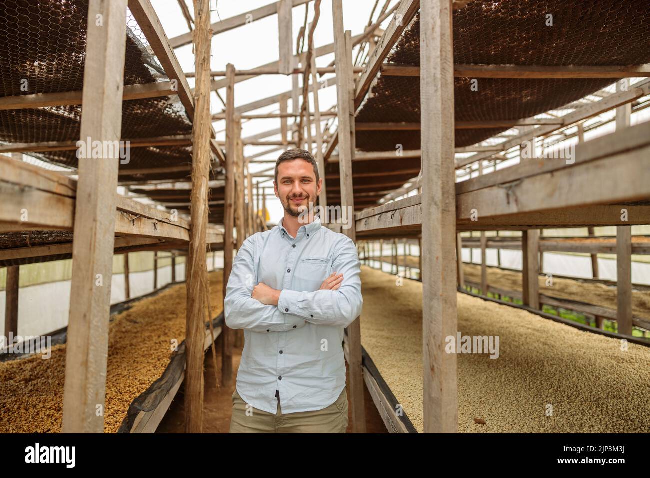 Happy man standing between tall wooden racks on coffee farm Stock Photo ...