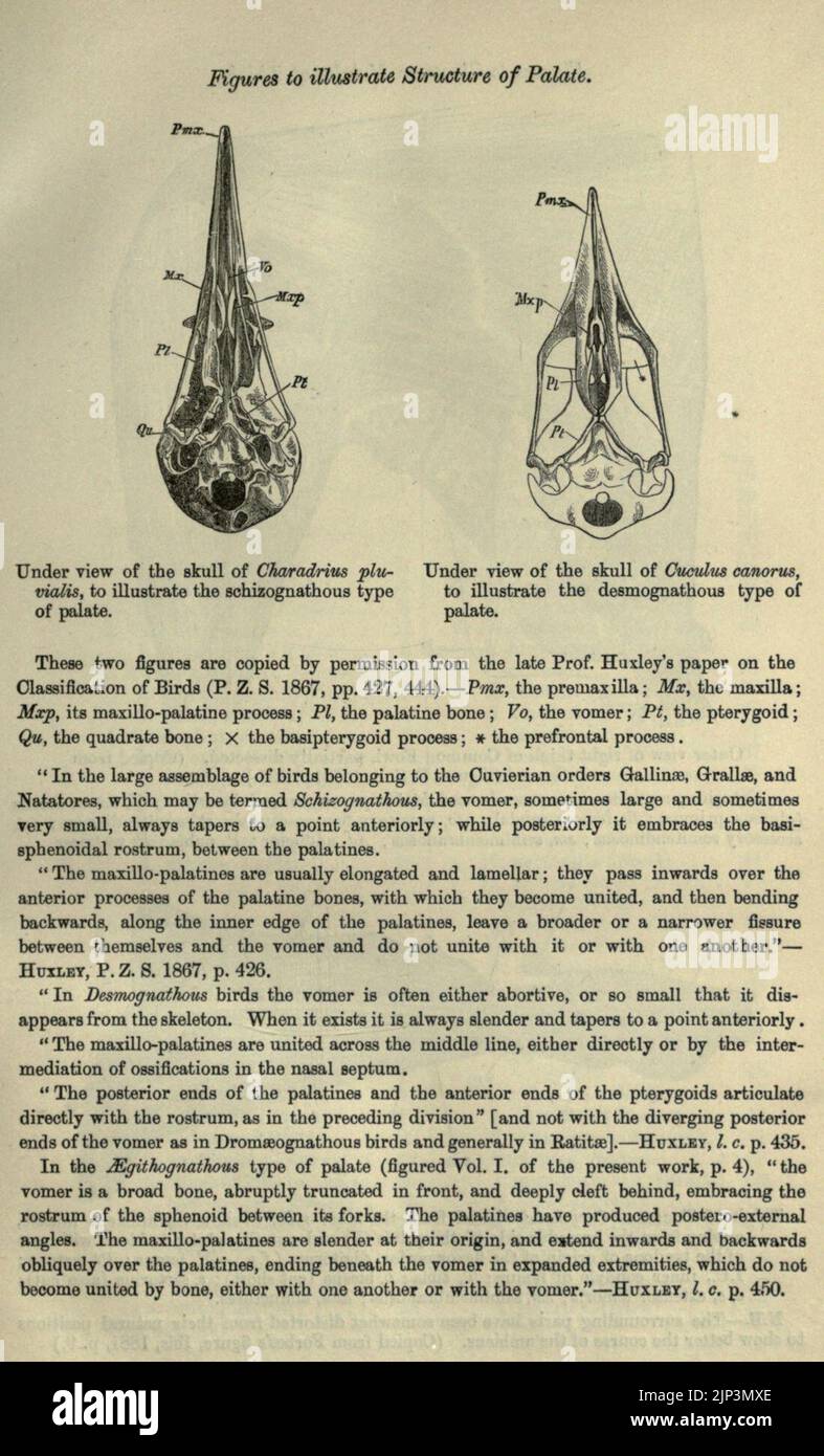 The fauna of British India, including Ceylon and Burma Stock Photo Alamy