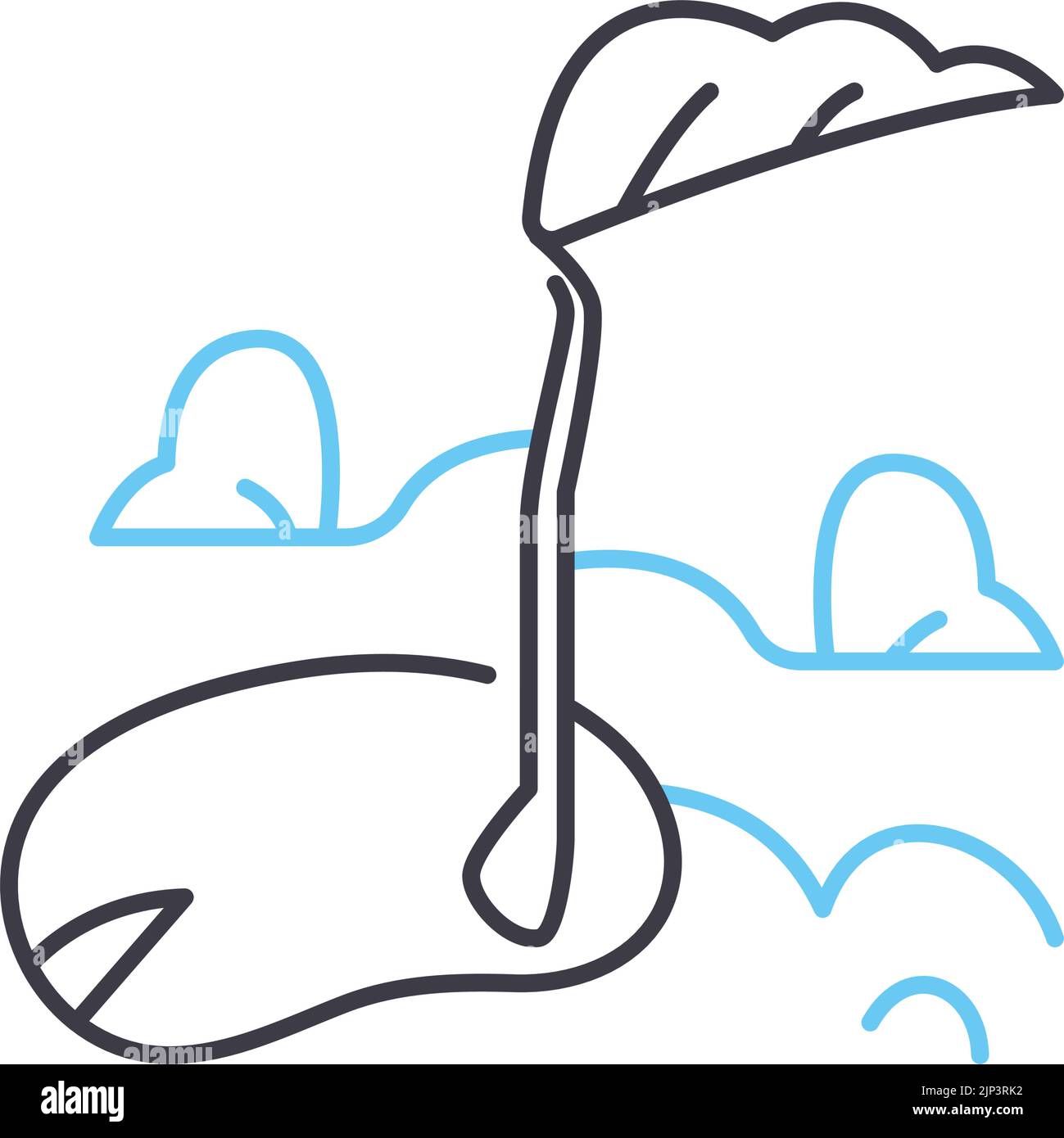 bean sprouts line icon, outline symbol, vector illustration, concept