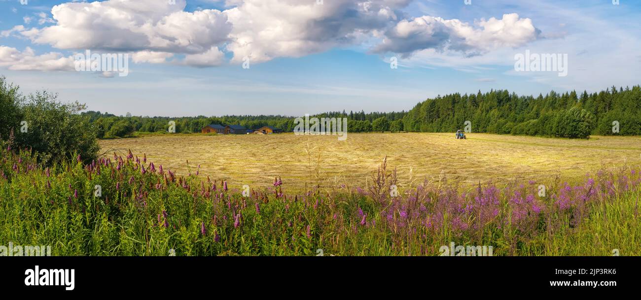Tractor in the field, distant farm and forest. Rural panoramic landscape, wide angle view Stock Photo