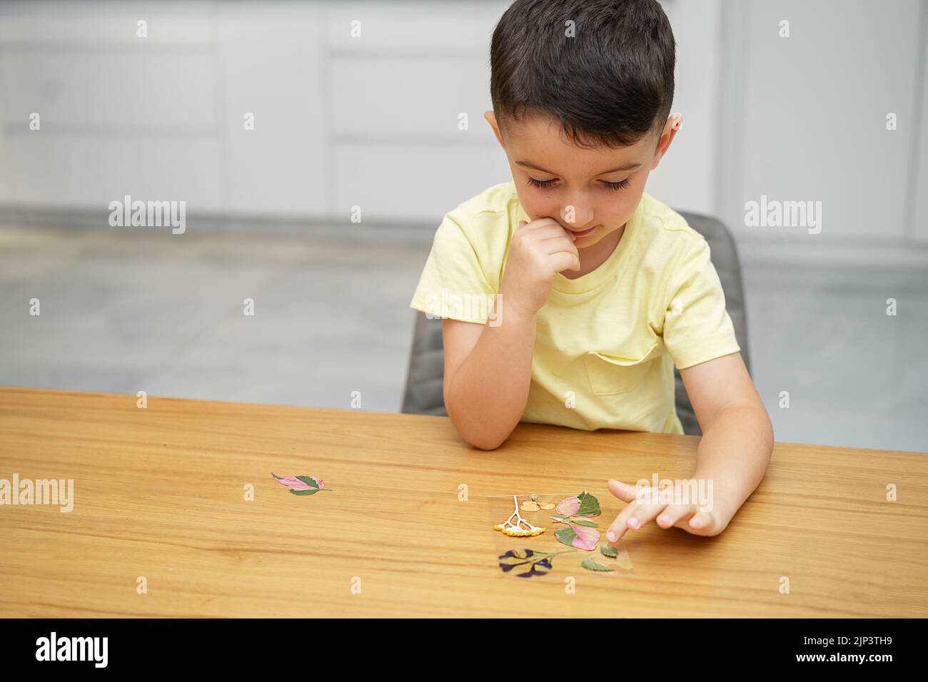 Child with glass picture frame, pressed leaves, and pressed flowers making herbarium on dining wood table in home. Stock Photo