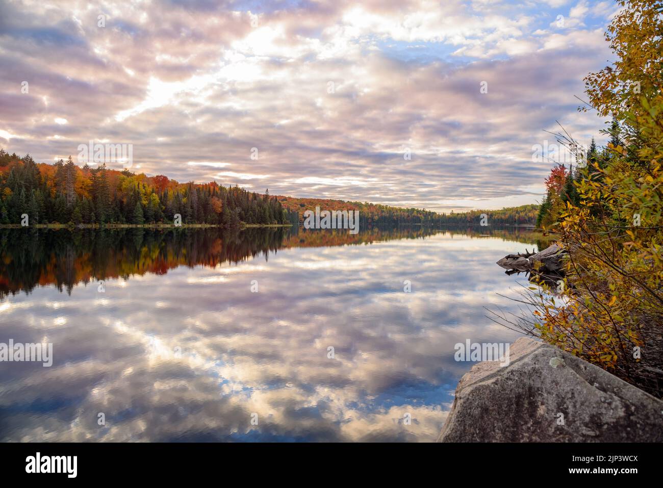 Beautiful lake with wooded shores at the peak of fall foliage under cloudy sky at sunset. Reflection in water. Algonquin Park, On, Canada. Stock Photo