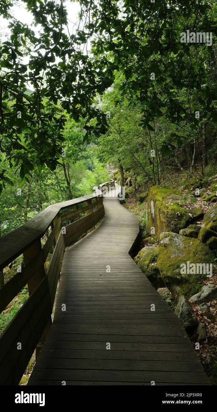 A vertical shot of the Paiva Walkways hiking area in Portugal Stock Photo