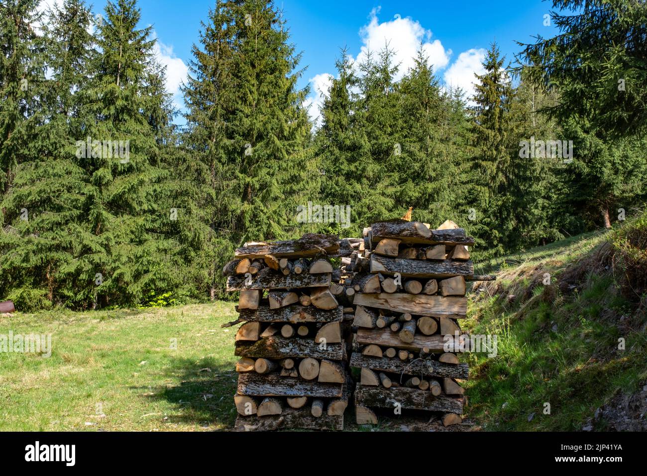 Stacked logs timber arranged hi-res stock photography and images - Alamy