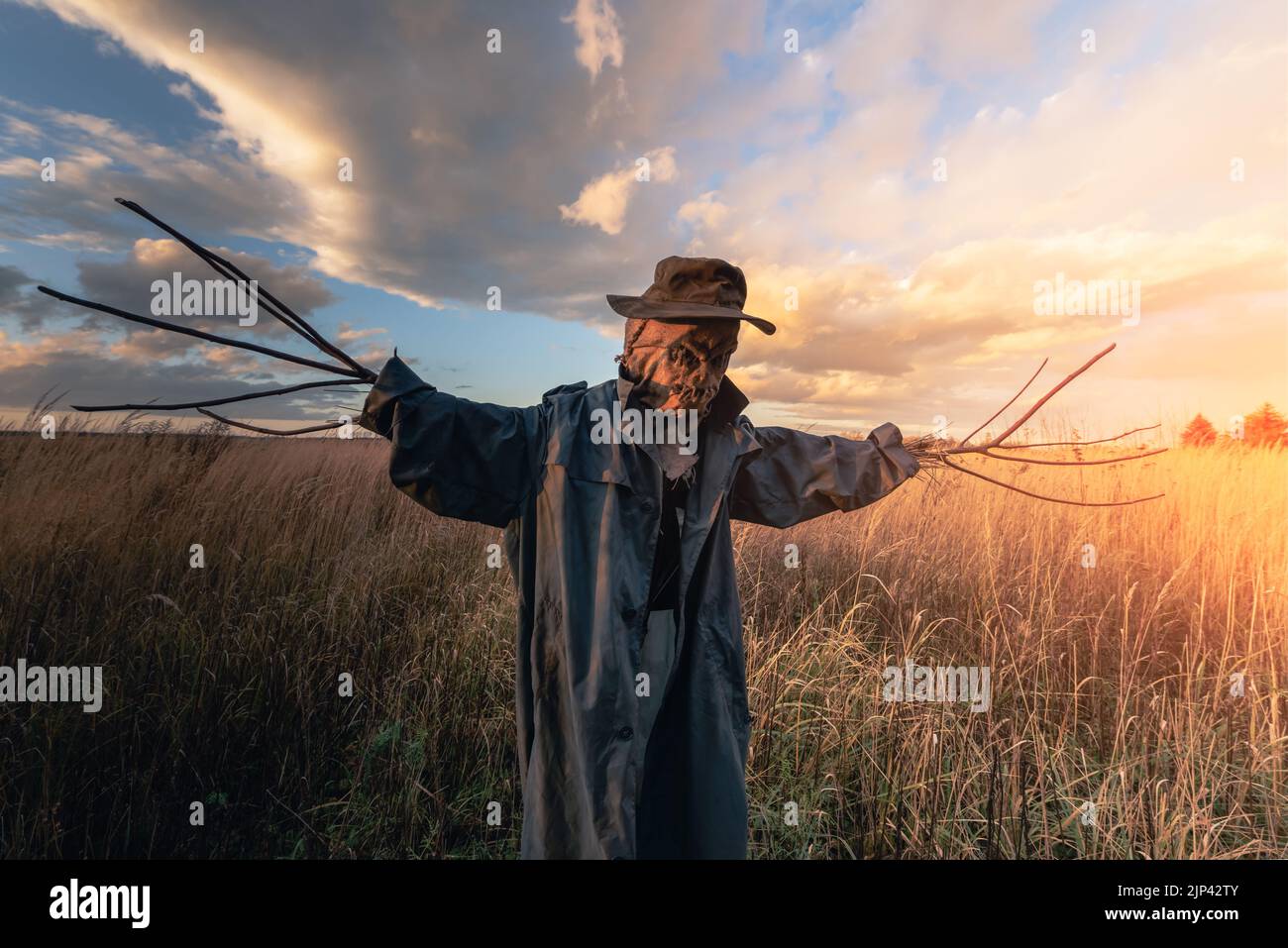 Scary scarecrow in a hat and coat on a evening autumn field during sunset. Spooky Halloween holiday concept. Halloweens background Stock Photo