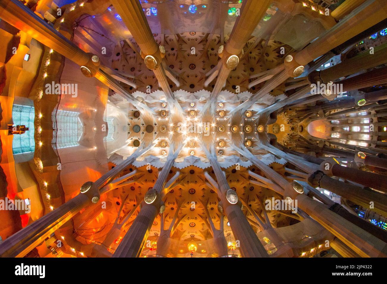 A Low Angle Shot Of The Ceiling Of La Sagrada Familia Church Building A Low Angle Shot Of The Ceiling Of La Sagrada Familia Church Building