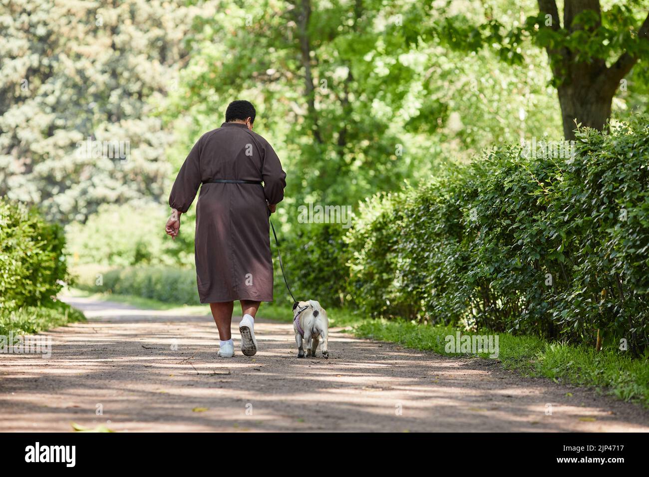 Back view portrait of black mature woman walking dog in park on road path together, copy space Stock Photo