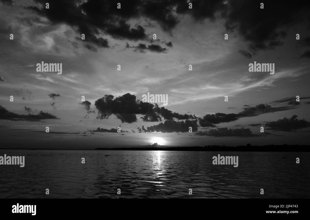 Amazon Black and White Stock Photos & Images - Alamy