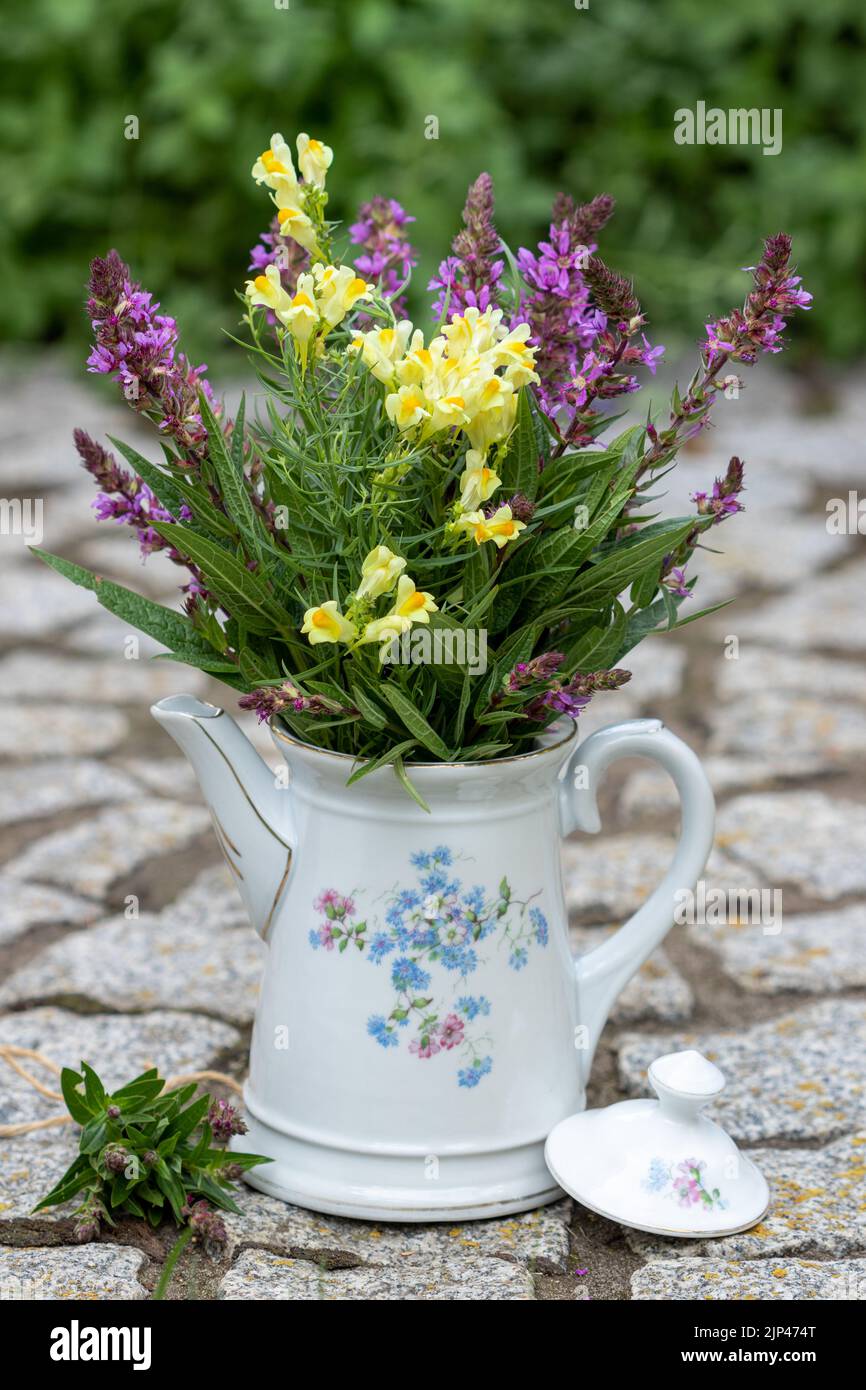 bouquet of true toadflax and meadow sage in vintage coffee can Stock Photo