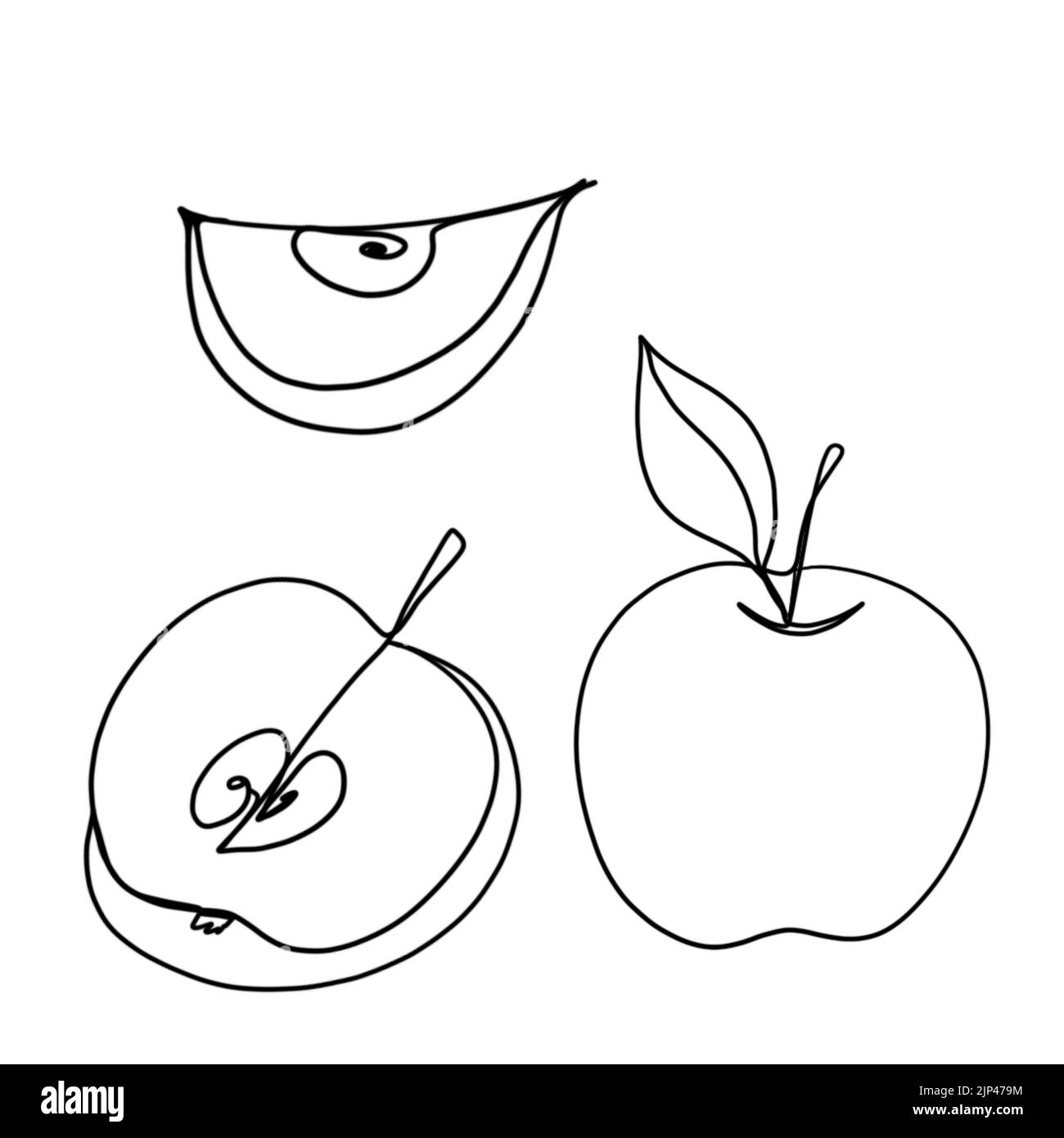 Apple continuous line drawing, Black and white minimalistic linear illustration made of one line. whole apple and half apple Stock Photo