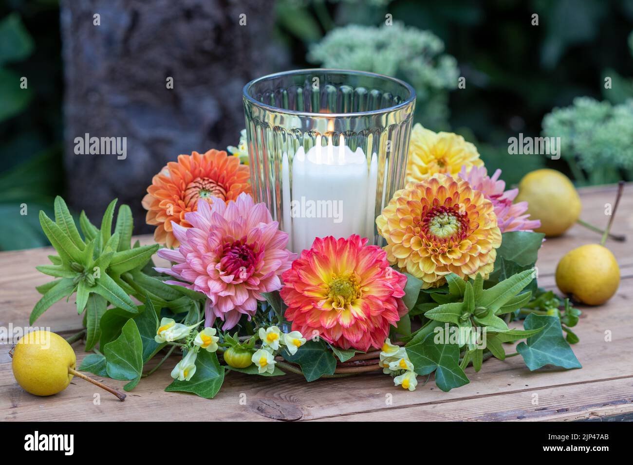 arrangement with wreath of dahlias, true toadflax and ivy and candle in glass Stock Photo