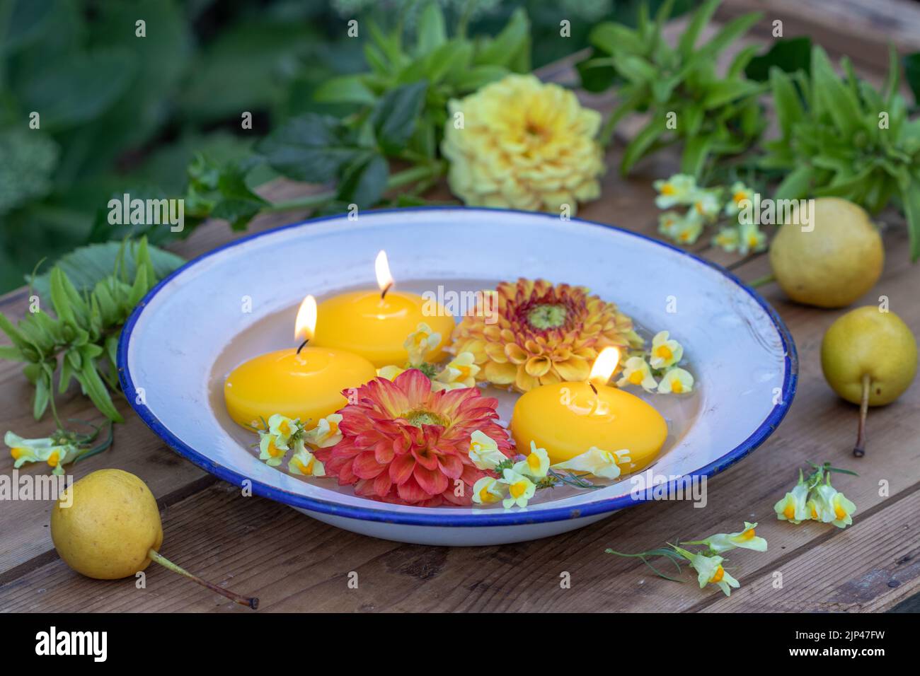 floating candles and dahlia flowers in enamel plate in garden Stock Photo
