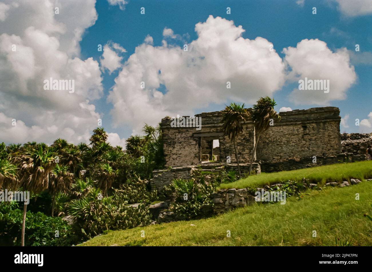 Ancient Mayan ruins at Tulum's Archaeological Zone in Tulum, Quintana Roo, Mexico. Stock Photo