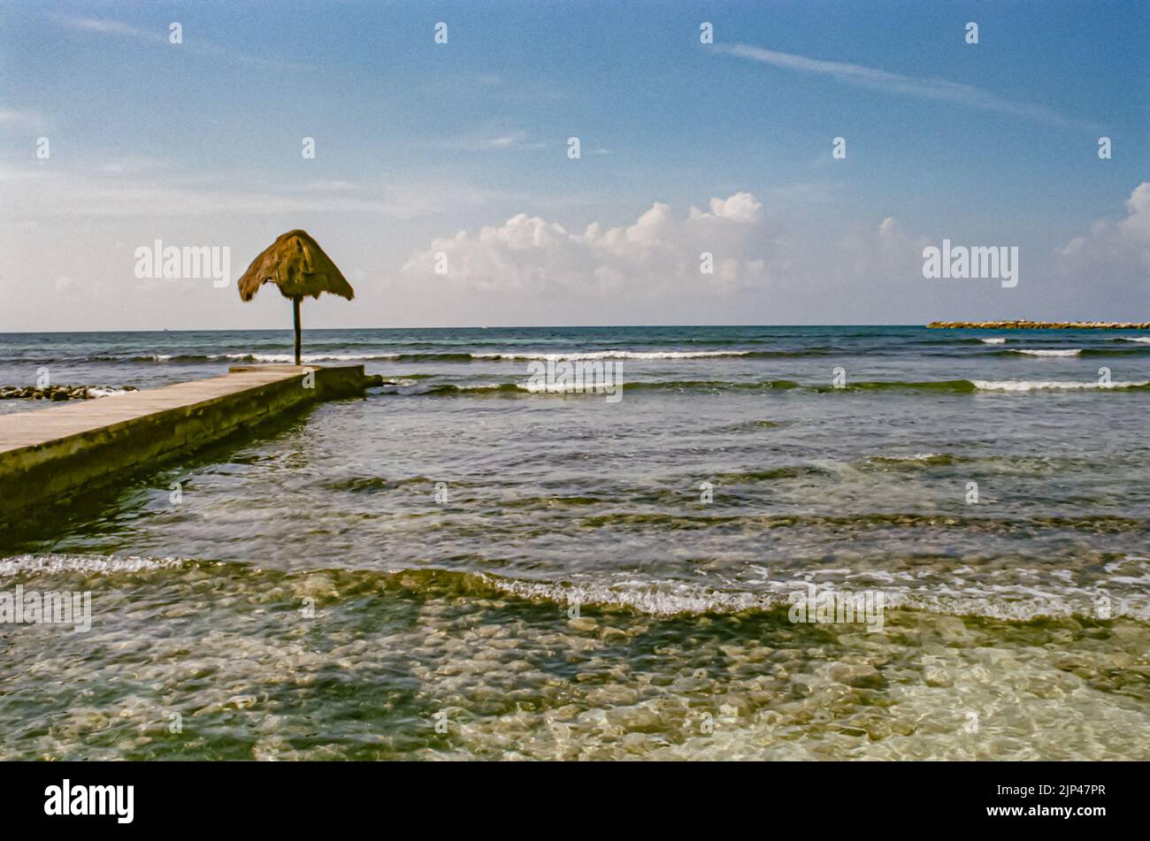Lush scape of Puerto Aventuras, Quintana Roo, Mexixo in summer of 2022. Stock Photo