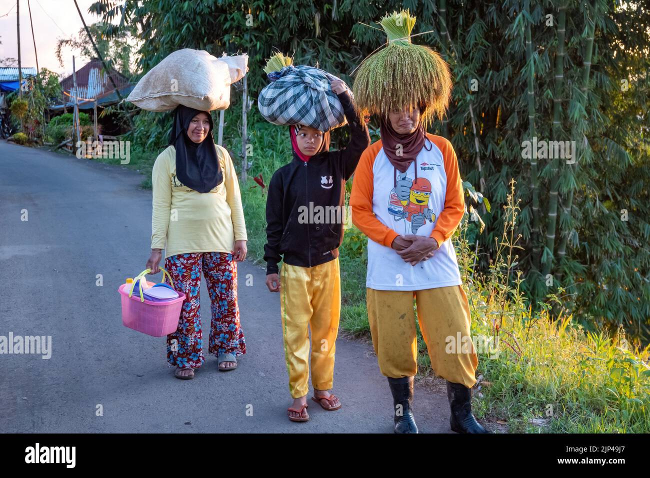 Three Indonesian women carry goods on their heads. Sulawesi, Indonesia. Stock Photo