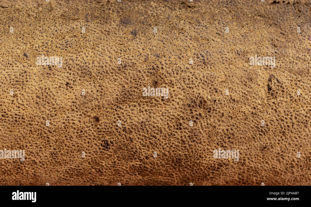 brown background from old natural cowhide Stock Photo