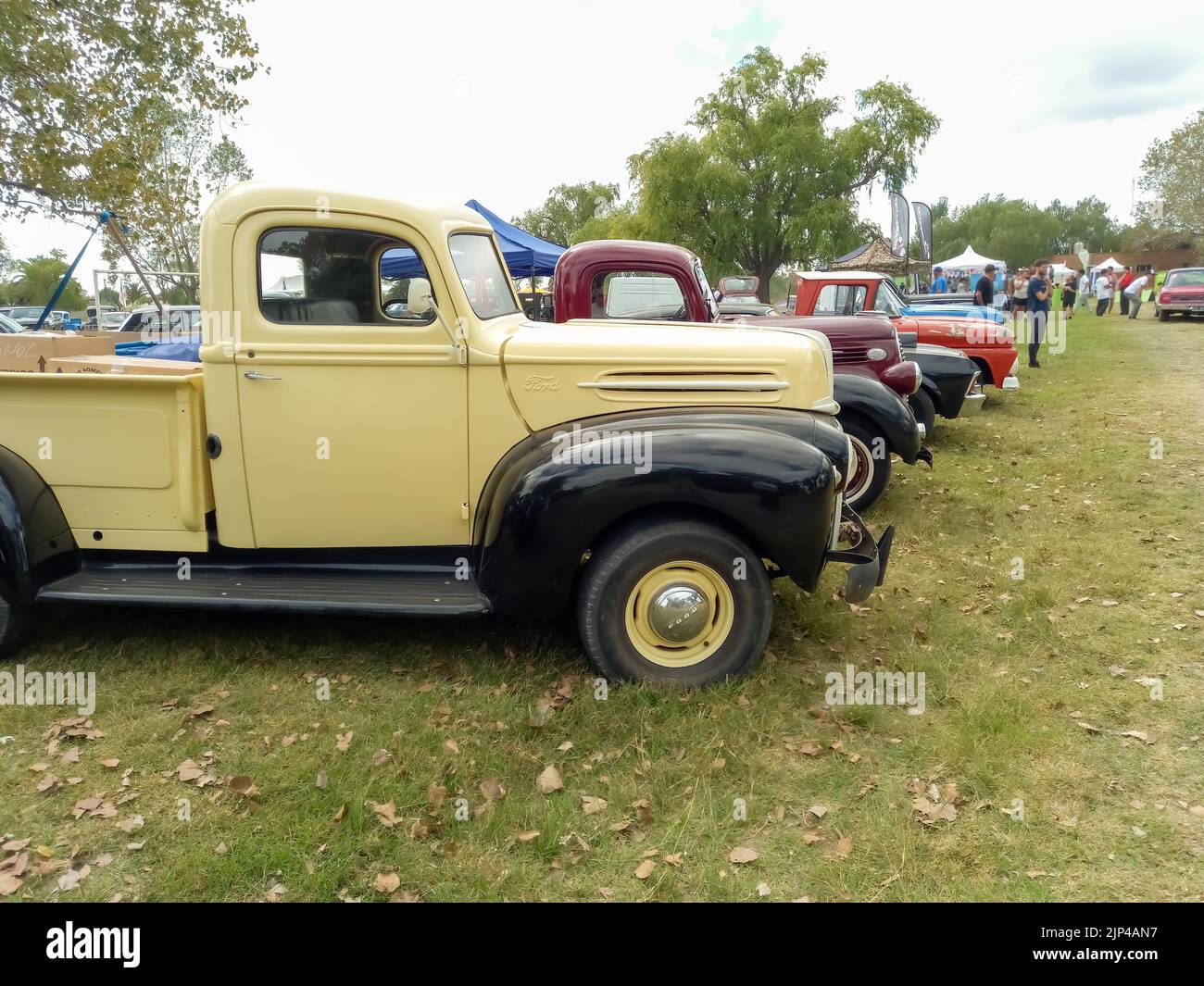 Old cream and black utility Ford pickup truck 1942 - 1947 in the countryside. Side view. Nature grass trees. Classic car show. Copyspace Stock Photo