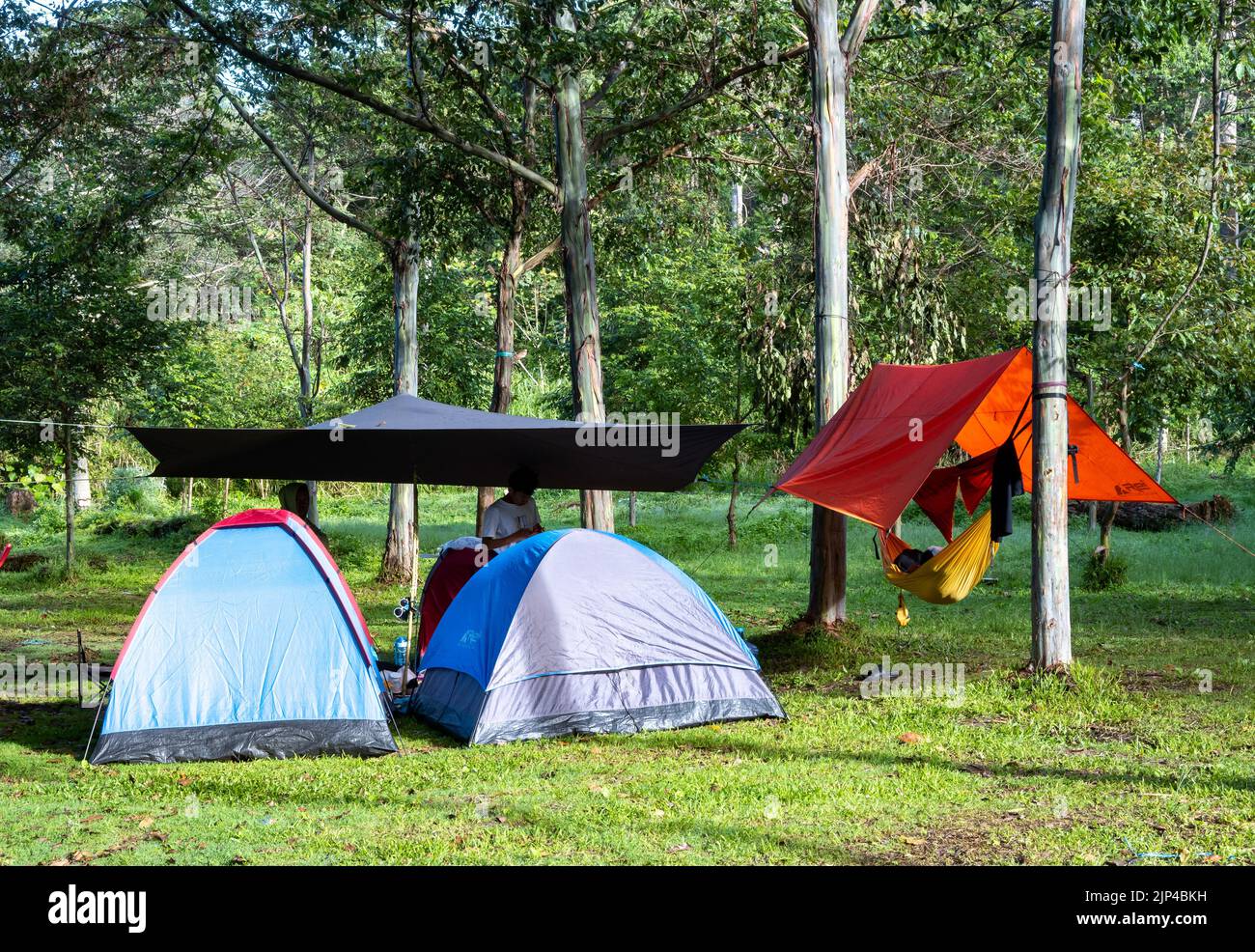 Locals camping at camp ground. Lore Lindu National Park. Sulawesi, Indonesia. Stock Photo