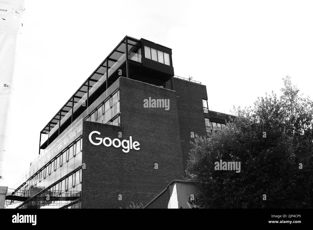 The Google office modern building with trees Stock Photo Alamy