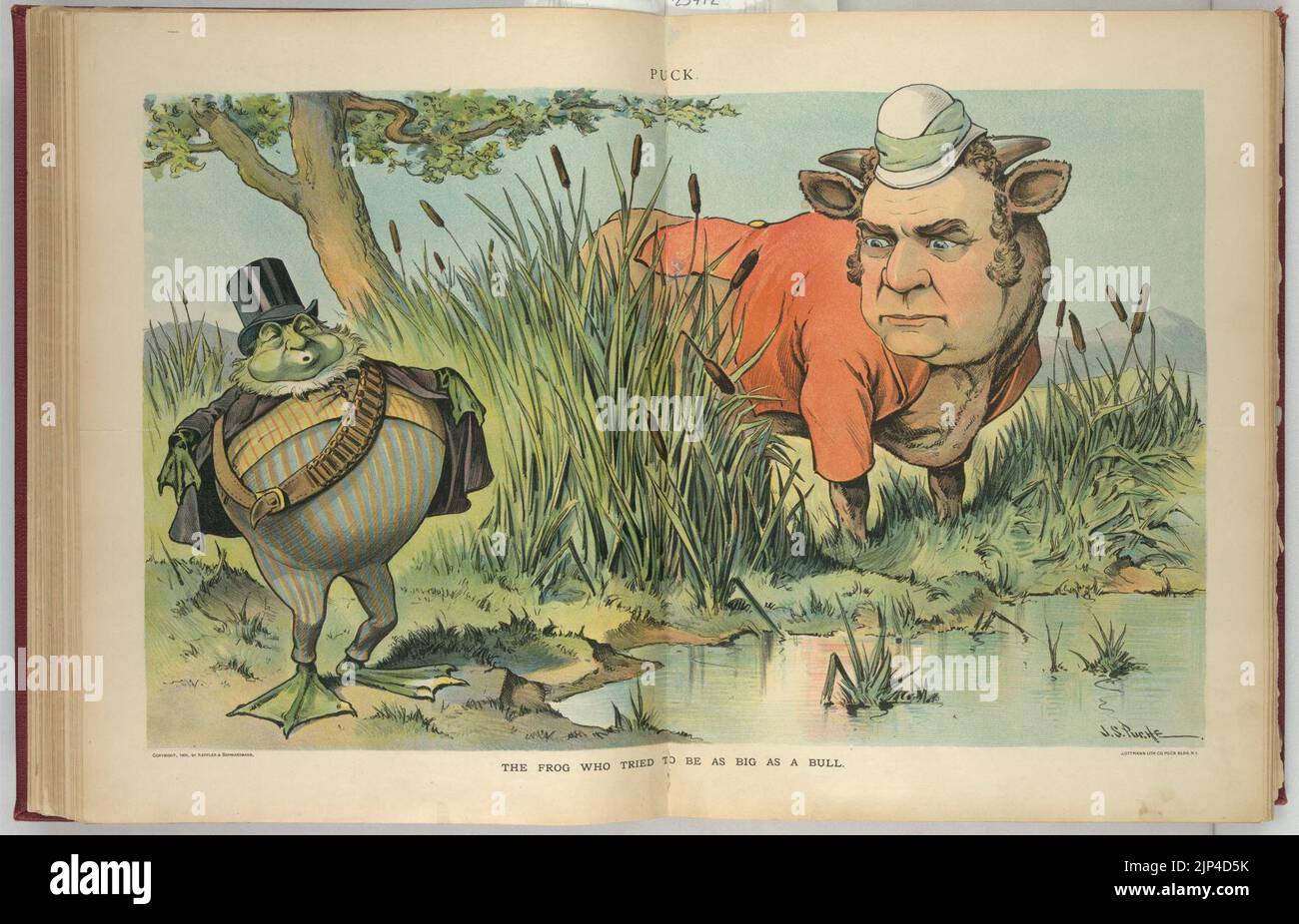 the-frog-who-tried-to-be-as-big-as-a-bull-j-s-pughe-stock-photo-alamy