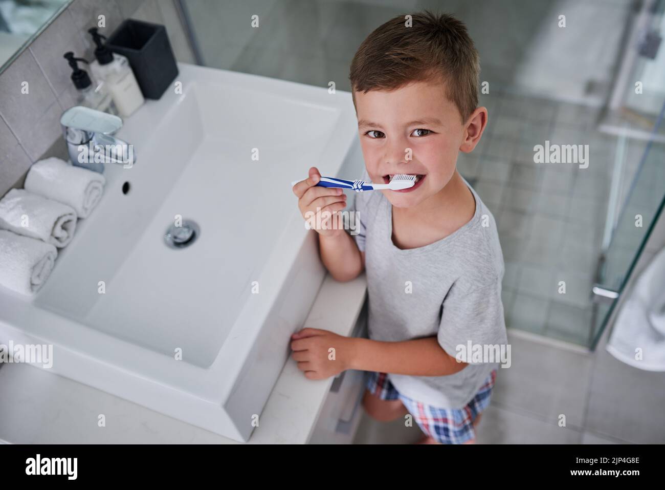 He knows all about healthy habits. Portrait of an adorable little boy brushing his teeth in the bathroom at home. Stock Photo