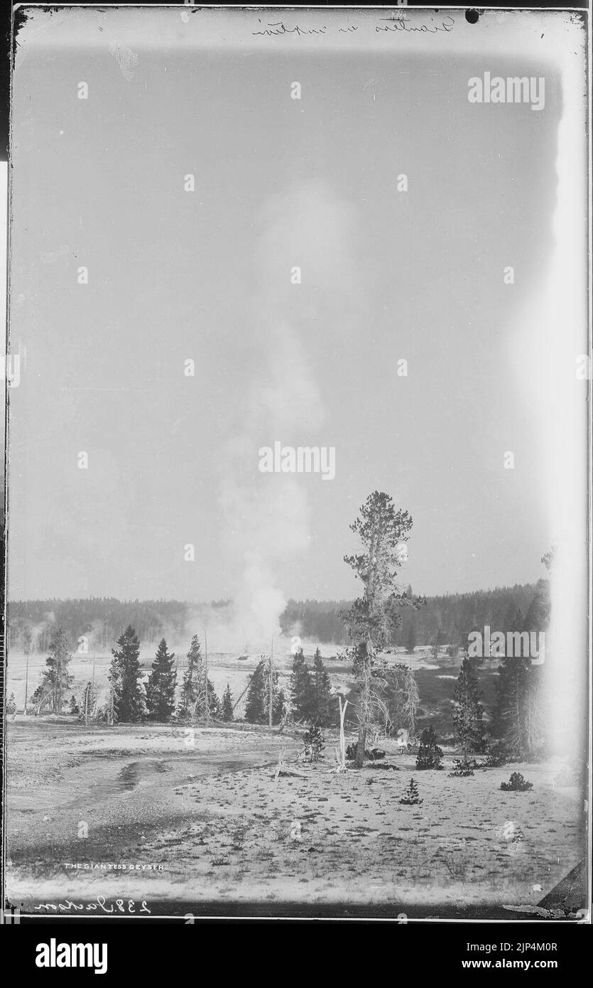 The Giantess Geyser, Yellowstone National Park Stock Photo Alamy