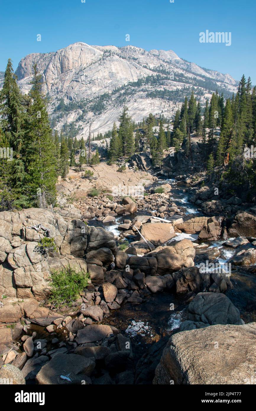 Tuolumne Falls is one of many waterfalls along the Tuolumne River in