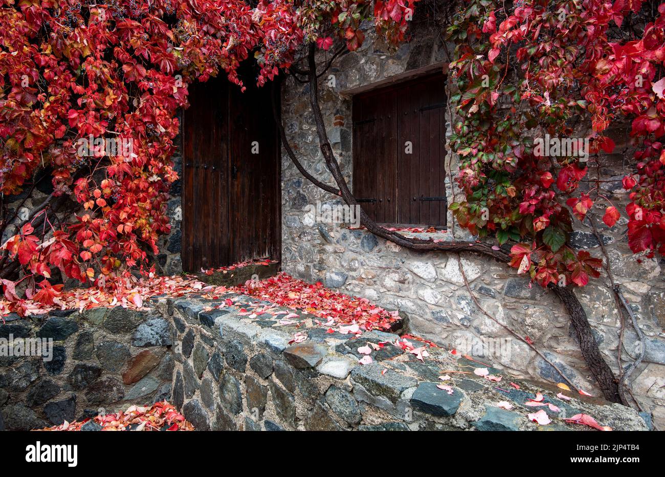Traditional entrance of stoned house with yellow maple leaves in autumn. Stock Photo